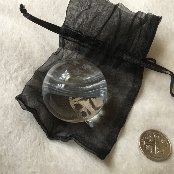 Lalique clear round etched swallow paperweight NIB - Picture 5 of 6